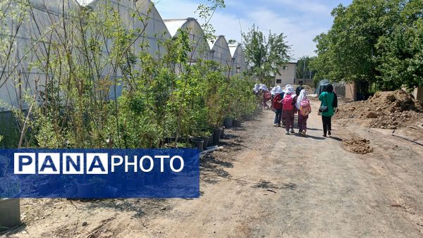 بازدید دانش‌آموزان مدرسه ایران از فضای سبز شهرداری ملارد به مناسبت روز زمین پاک