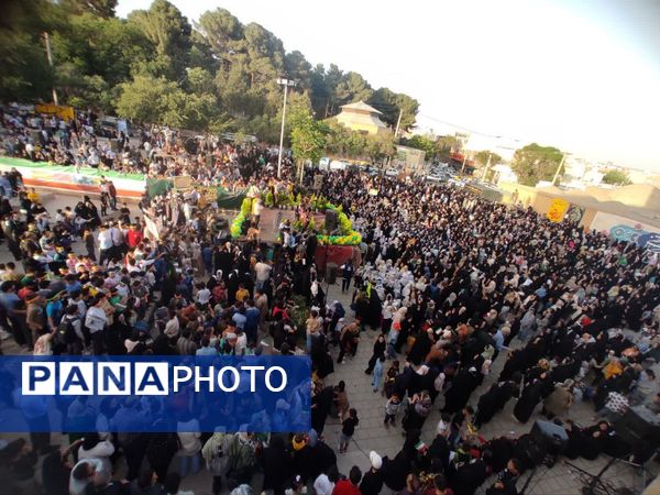 از خاک حیدری تا افلاک رضوی 