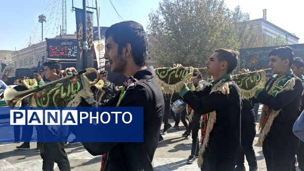 روایت اشک و ارادت عاشقان در سوگ وفات حضرت معصومه(س)