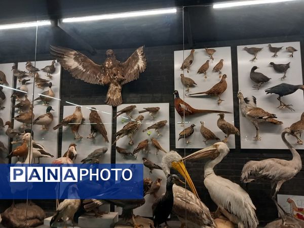 بازدید از پارک علمی تفریحی پروفسور بازیما مشهد