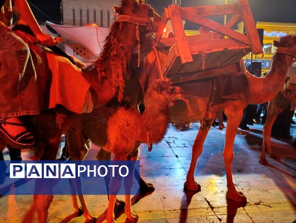 کاروان نمادین اسرای کربلا‌ازمیدان‌آستانه‌ی قم‌به‌سمت‌حرم‌حضرت‌معصومه"س"