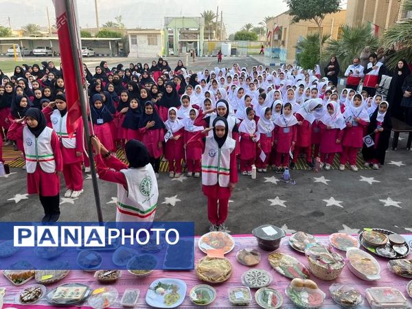 طرح ملی «ماهر و سفیران سلامت» در آموزشگاه زینبیه خورموج دشتی 