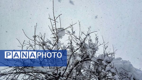 جلگه رخ سفید پوش شد 