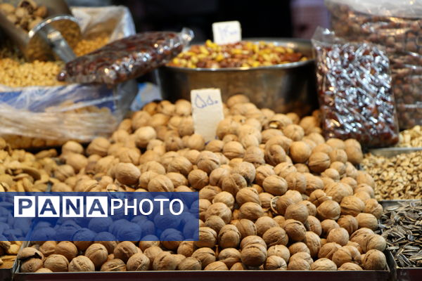 نمایشگاه شب یلدا در باغ دولت‌آباد یزد