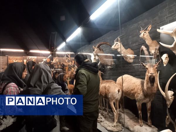 بازدید از پارک علمی تفریحی پروفسور بازیما مشهد