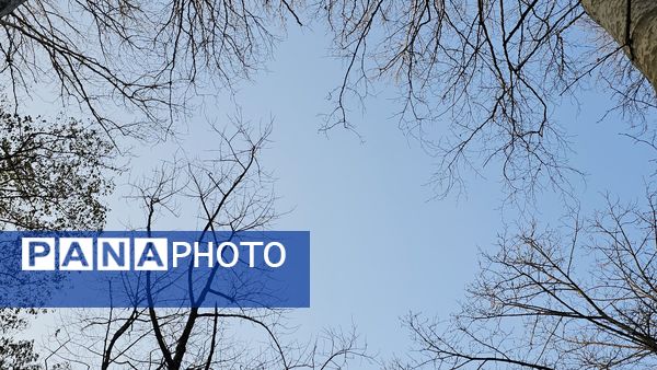 طبیعت بکر باران کوه استان گلستان