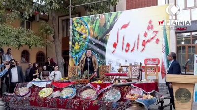 جشنواره آلو روستای گردشگری ملحمدره شهرستان اسدآباد با حضور مسئولان محلی و استانی برگزار شد
