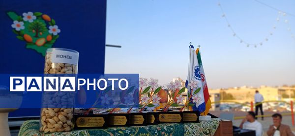 شکوفایی طعم و فرهنگ در سامان؛ دومین جشنواره بادام و گردو 