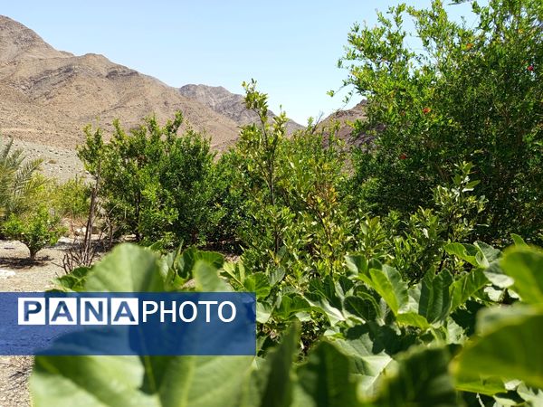 روز طبیعت در خانه‌ای کوچک و دلنشین بی‌‌بی گل و آقا جان