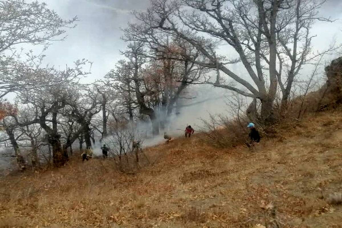ثبت رکورد جدید لوله‌کشی اطفای حریق توسط آتش‌نشانان در جنگل‌های الیت