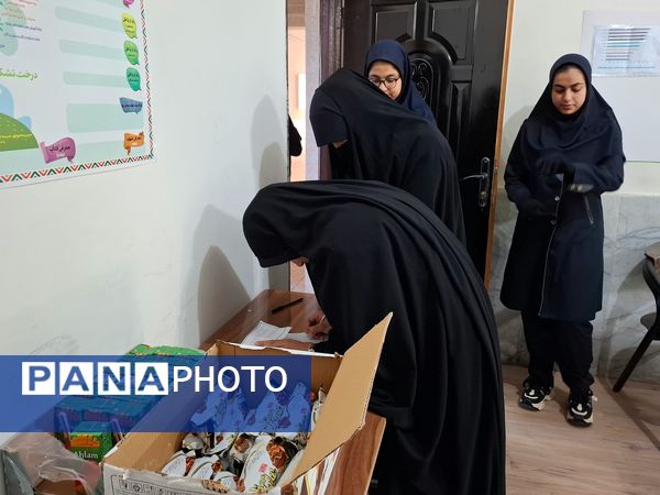اختتامیه طرح همیار مشاوران نواحی استان خراسان رضوی 