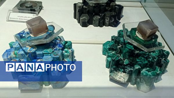 بازدید مدرسه ساره از پارک موزه علوم زمین