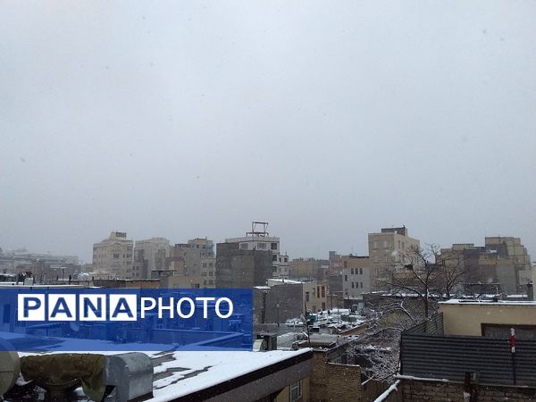 بارش برف و سفید پوش شدن شهر زیبای مشهد