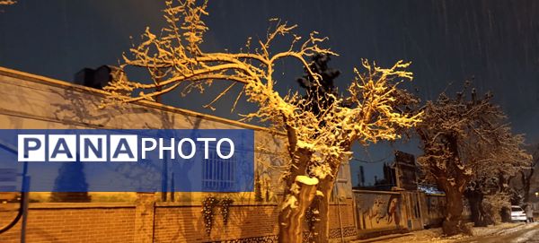 نزول برکت و نعمت در نخستین روزهای زمستانی در نیشابور