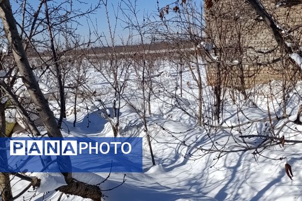 منظره زیبای برف پاییزی در باغات شهرستان نیشابور 