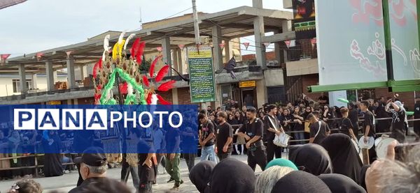 تاسوعای حسینی در شهرستان آمل
