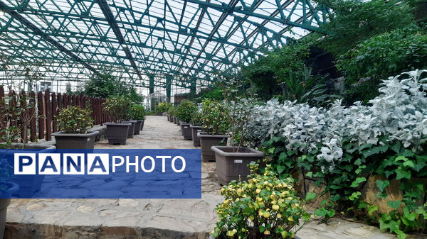 باغ پرندگان قم: جاذبه‌ای بی‌نظیر در قلب کشور