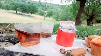 شور و نشاط دانش‌آموزان آموزشگاه فروغ‌دانش در اردوی تفریحی