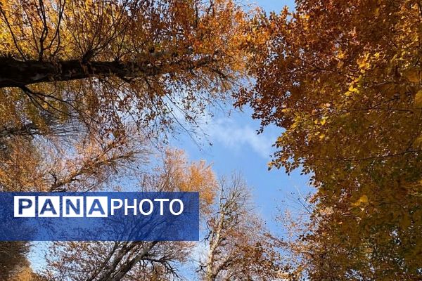 هرچه می‌گذرد، بیشتر به شبی سردتر و طولانی‌تر نزدیک می‌شویم