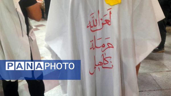 حرم حضرت معصومه(س) در شب شهادت برادر