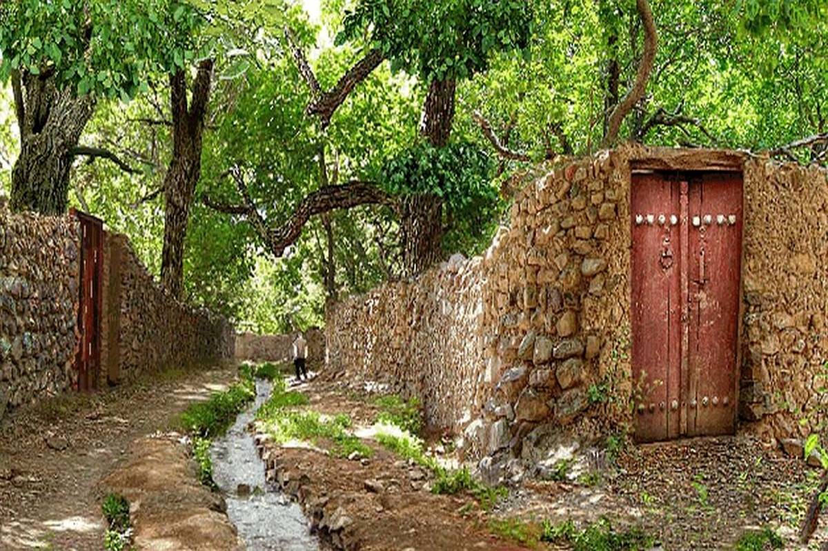 شهرداری منطقه ۱۲ شیراز از ابتدای شهریور فعالیت خود را آغاز میکند