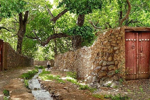 شهرداری منطقه ۱۲ شیراز از ابتدای شهریور فعالیت خود را آغاز می‌کند 