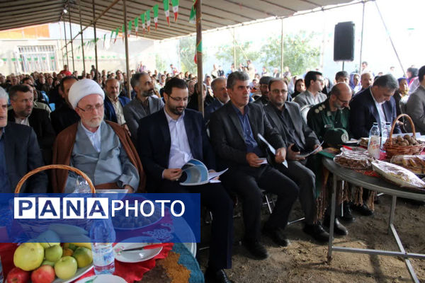 جشن شکر گزاری برداشت گردو 