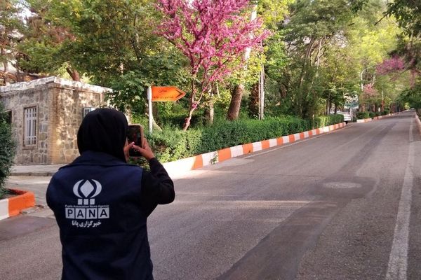 پانا؛ خانهٔ رویاهای جسورانه و قلم‌های بی‌قرار