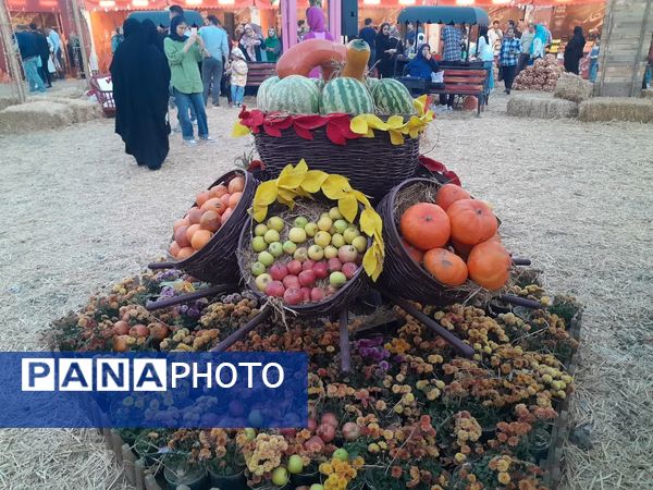 طعم و رنگ در باغ پاییز مشهد