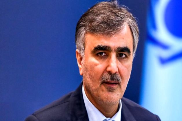 فرزین: تخصیص ارز ترجیحی برای نهاده‌های دامی و کالاهای اساسی ادامه دارد