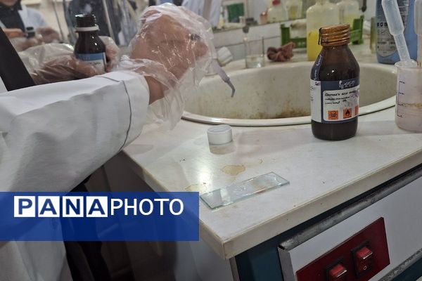 برگزاری کارگاه خون شناسی در پژوهشسرای دکتر حسابی شهرقدس