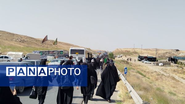 پیاده روی زائران امام رضا(ع) از ملک آباد تا مشهد 