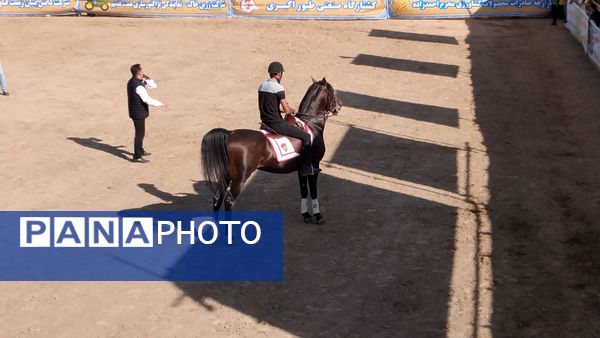 مراسم شوسواره کشوری ارسباران در اهر