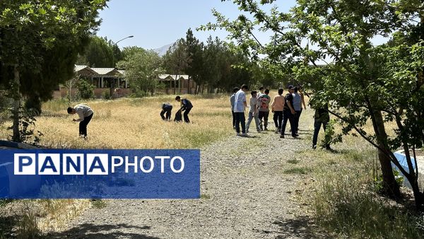 پاکسازی طبیعت توسط دانش‌آموزان پیشتاز استان مرکزی در پیش اردوی ملی