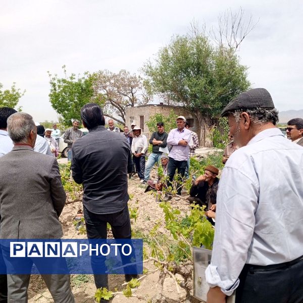 کلاس آموزشی تغذیه باغات انگور در شهر تیتکانلو