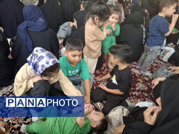 همایش شیر خوارگان حسینی در جم