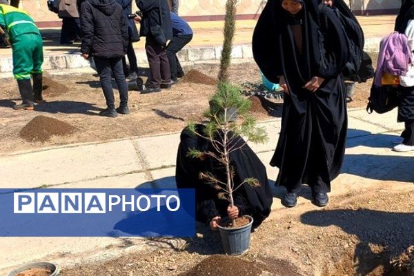 کاشت نهال توسط دانش‌آموزان دبیرستان سعادت کهریزک در محوطه حرم امام خمینی (ره)