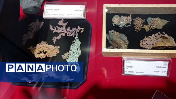 بازدید مدرسه ساره از پارک موزه علوم زمین