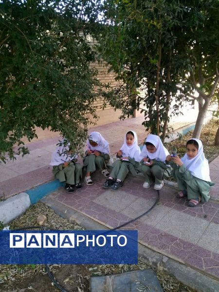 لمس طبیعت با حواس پنج‌گانه، سفری از شناخت تا شکرگزاری در هفته بهداشت روان