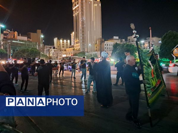 کبوتر حرم مشهد مقدس