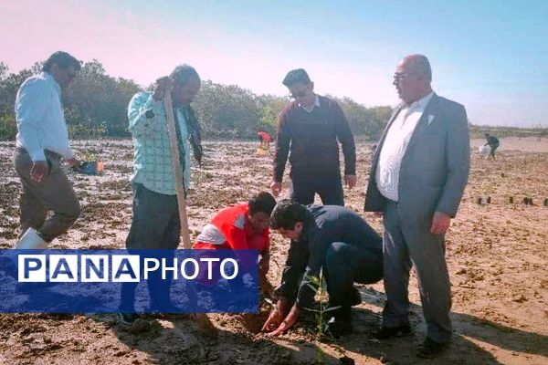 ۲۵۰۰‌ اصله‌ نهال‌حرا‌ در‌ بندرخمیر‌ کاشته‌ شد