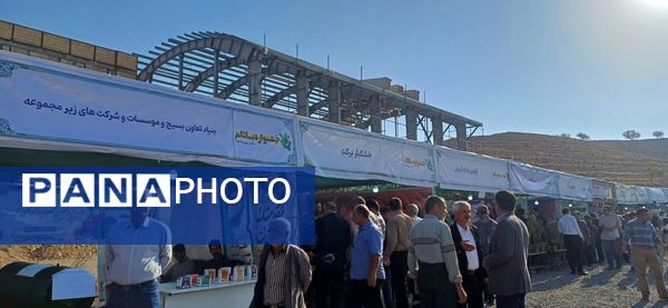 شکوفایی طعم و فرهنگ در سامان؛ دومین جشنواره بادام و گردو 