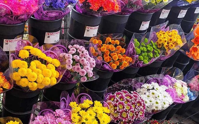 تولید داخلی چقدر از بازار را پوشش می‌دهد؟