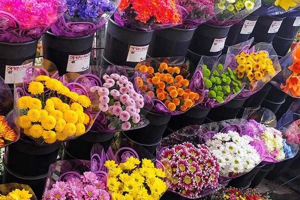 پشت‌پرده نوسان قیمت گل در مشهد