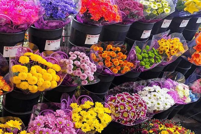 پشت‌پرده نوسان قیمت گل در مشهد