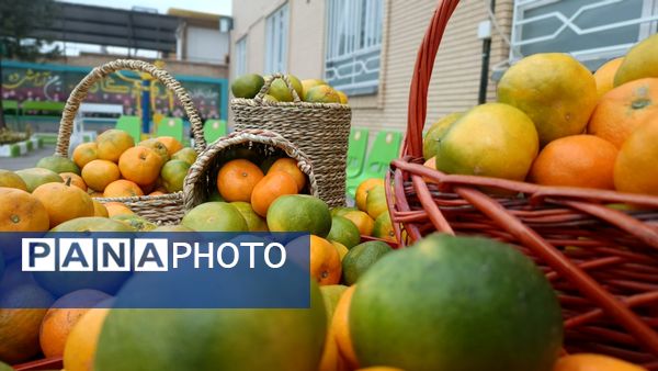 افتتاحیه کافه کتاب و سالن مطالعه در دبیرستان وکیلی۹