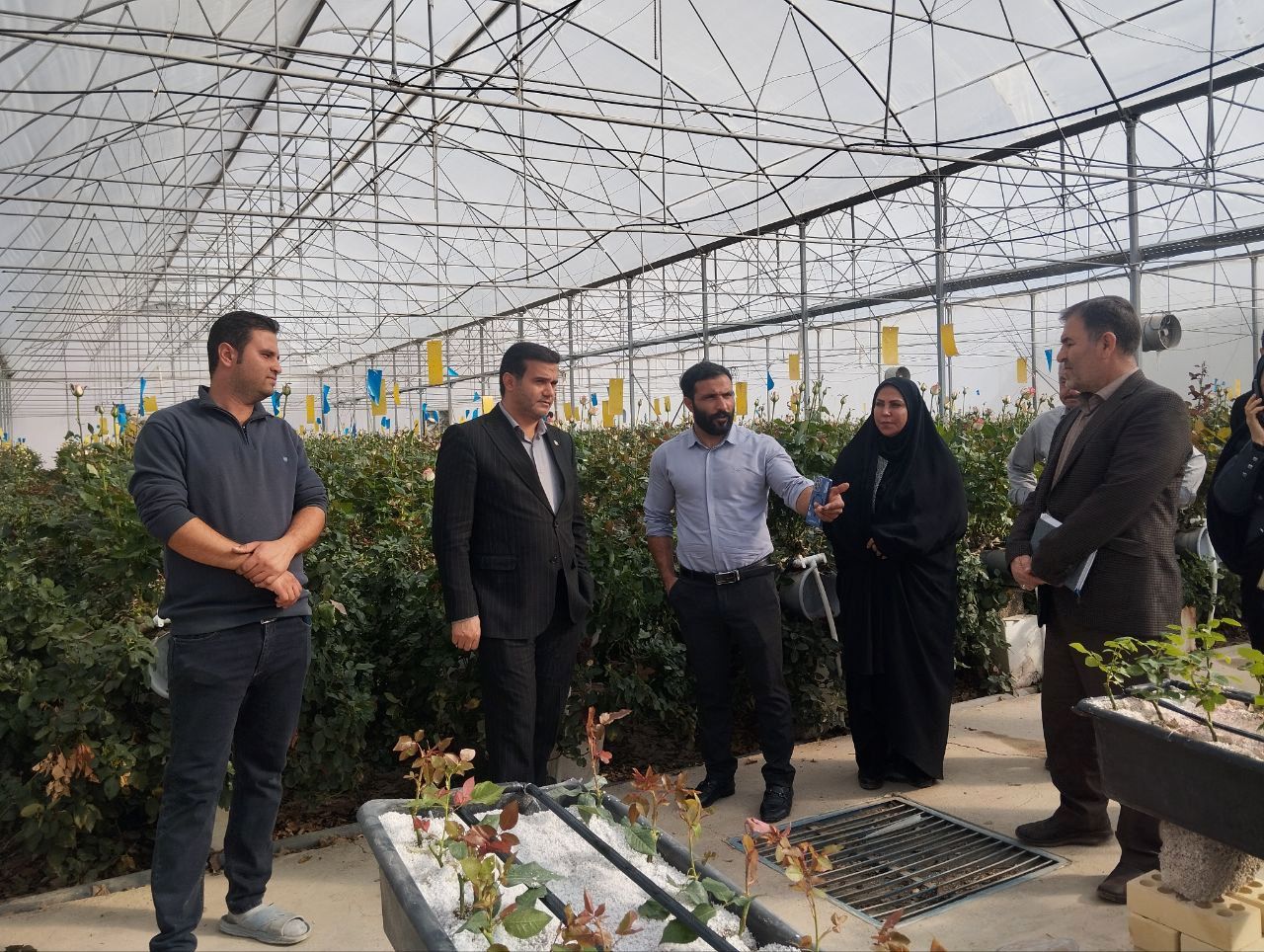 ساخت گلخانه در شهرستان رزن رونق گرفت