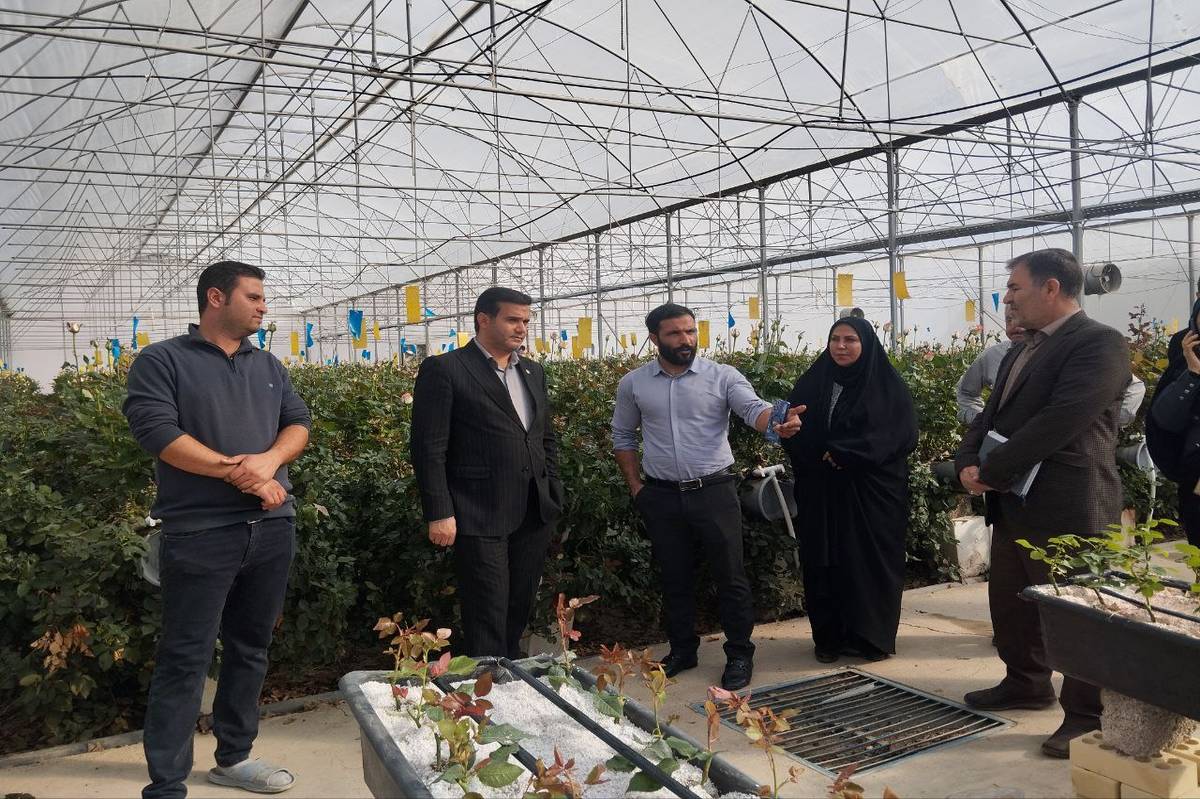 ساخت گلخانه در شهرستان رزن رونق گرفت