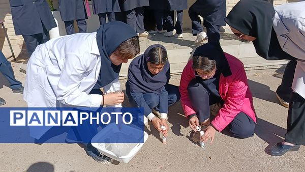 آزمایشگاه قلب تپنده یادگیری علوم