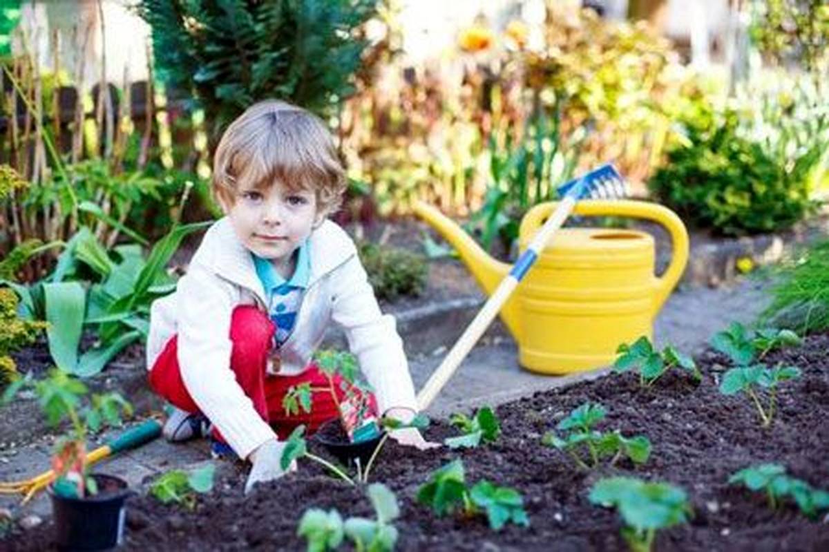 درمان با گلوگیاه، راهی مؤثر برای تخلیه روانی کودکان است